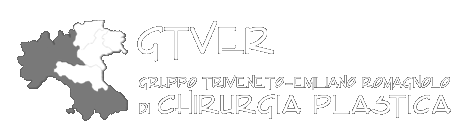 GTver logo